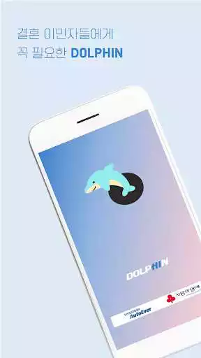 Play Dolphin