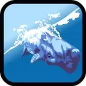 Free play online Dolphin Show Games For Free APK Free play online Dolphin Show Games For Free APK