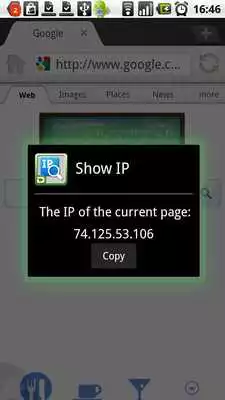 Play Dolphin Show IP