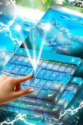 Play Dolphins Keyboard theme Play Dolphins Keyboard theme