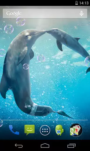 Play Dolphins Live Wallpaper  and enjoy Dolphins Live Wallpaper with UptoPlay