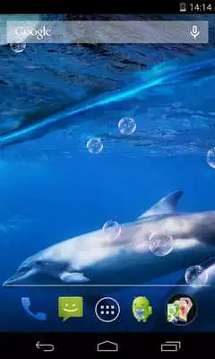Play dolphins live wallpaper