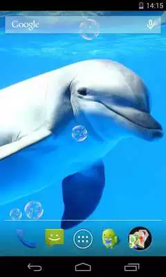 Play dolphins live wallpaper