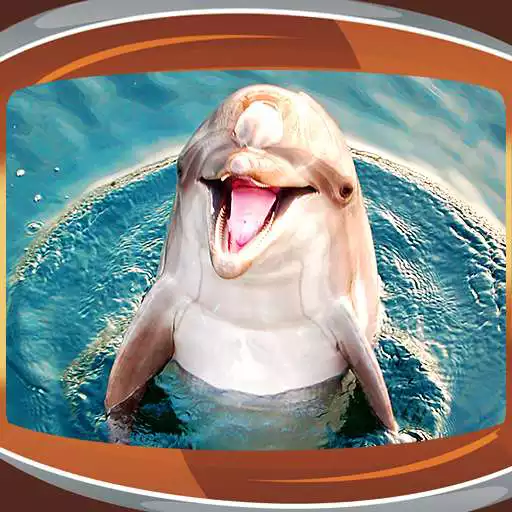 Free play online Dolphins Live Wallpapers APK Free play online Dolphins Live Wallpapers APK