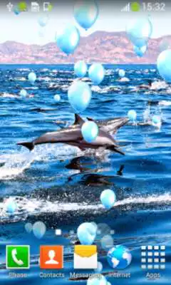 Play Dolphins Live Wallpapers