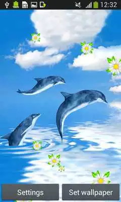 Play Dolphins Live Wallpapers