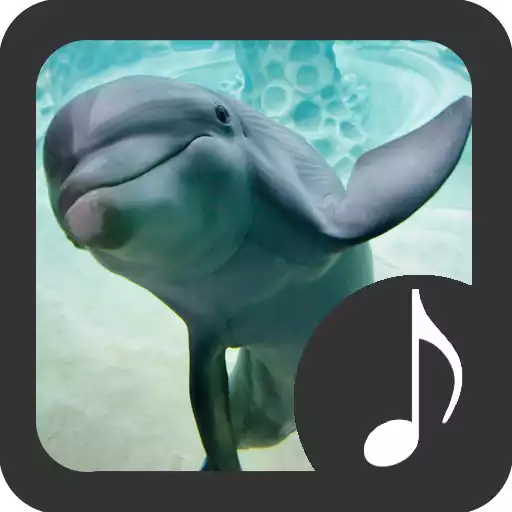 Play Dolphin Sounds APK Play Dolphin Sounds APK