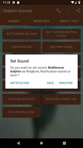 Play Dolphin Sounds as an online game Dolphin Sounds with UptoPlay