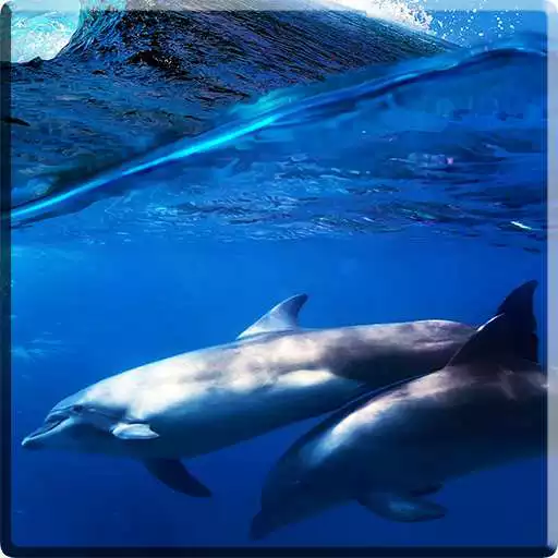 Free play online Dolphins +Sound Live Wallpaper APK