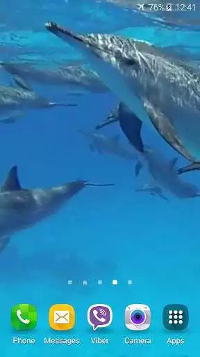 Play Dolphins +Sound Live Wallpaper