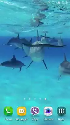 Play Dolphins +Sound Live Wallpaper