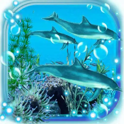 Free play online Dolphins Sounds live wallpaper APK Free play online Dolphins Sounds live wallpaper APK