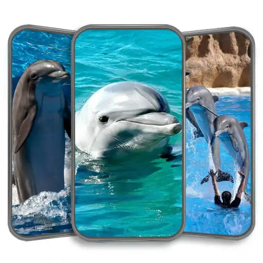 Play Dolphins Wallpaper HD APK
