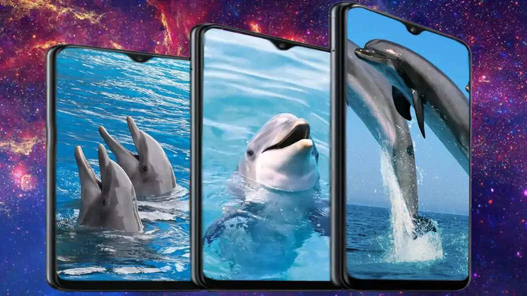 Play Dolphins Wallpaper HD  and enjoy Dolphins Wallpaper HD with UptoPlay