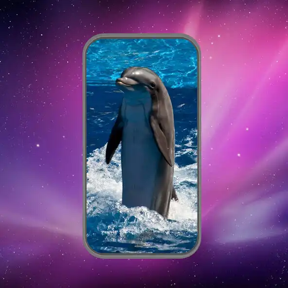 Play Dolphins Wallpaper HD as an online game Dolphins Wallpaper HD with UptoPlay