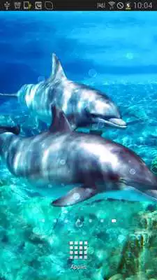 Play Dolphins with Bubbles Magic FX