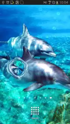 Play Dolphins with Bubbles Magic FX