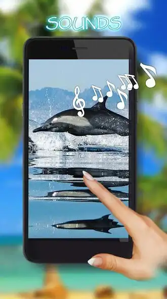 Play Dolphin Voice  and enjoy Dolphin Voice with UptoPlay