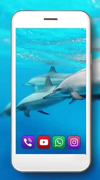 Play Dolphin Voice as an online game Dolphin Voice with UptoPlay