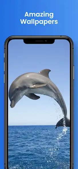 Play Dolphin Wallpapers 4k HD and enjoy Dolphin Wallpapers 4k HD with UptoPlay Play Dolphin Wallpapers 4k HD and enjoy Dolphin Wallpapers 4k HD with UptoPlay