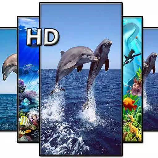 Play Dolphin Wallpapers HD APK Play Dolphin Wallpapers HD APK