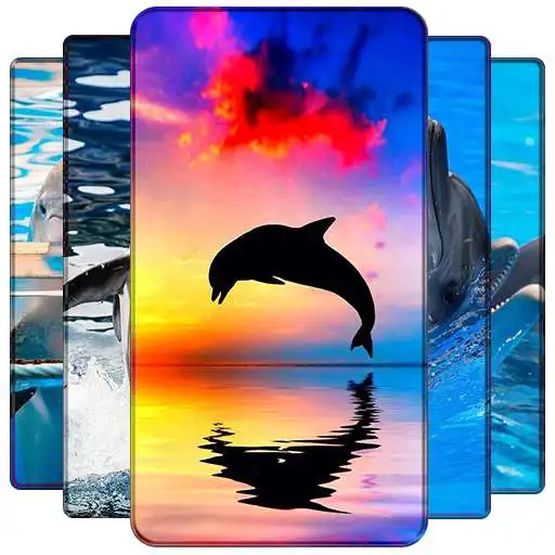 Play Dolphin Wallpapers APK Play Dolphin Wallpapers APK
