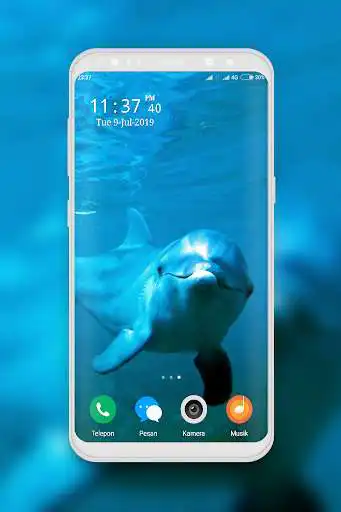 Play Dolphin Wallpapers  and enjoy Dolphin Wallpapers with UptoPlay