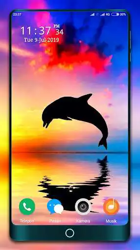 Play Dolphin Wallpapers as an online game Dolphin Wallpapers with UptoPlay