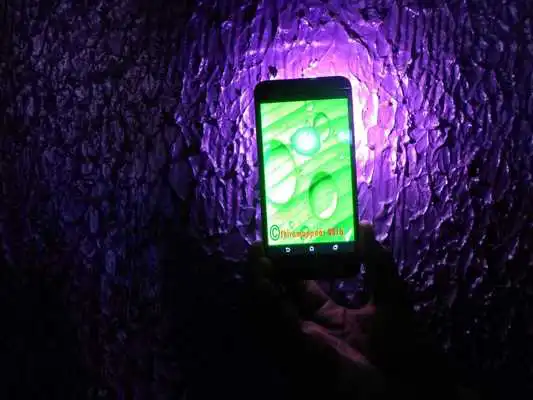 Play Dolyas Flashlight LED