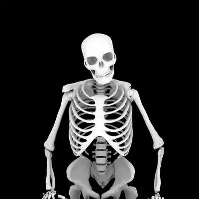 Play Domenico Cirasino RA