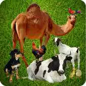 Free play online Domestic Animals APK