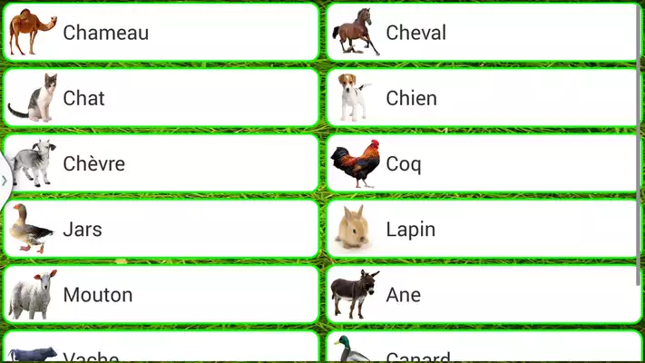 Play Domestic Animals