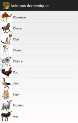 Play Domestic Animals