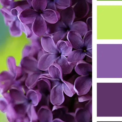 Play Dominant Image Color APK