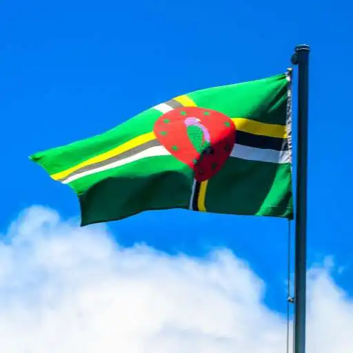 Play Dominica flag APK