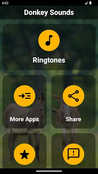 Play Donkey Ringtones  Sounds  and enjoy Donkey Ringtones  Sounds with UptoPlay