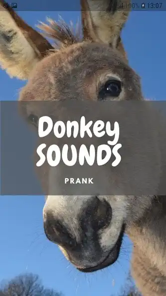 Play Donkey Sounds and Wallpapers  and enjoy Donkey Sounds and Wallpapers with UptoPlay