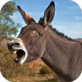 Free play online Donkey Sounds Lite APK