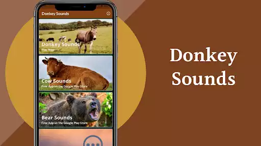 Play donkey sounds as an online game donkey sounds with UptoPlay