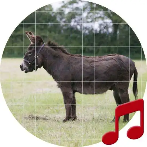 Play Donkey sounds ~ Sboard.pro APK