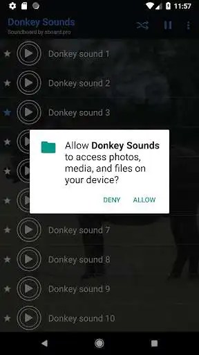 Play Donkey sounds ~ Sboard.pro as an online game Donkey sounds ~ Sboard.pro with UptoPlay