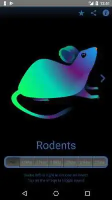 Play Dont Bug Me Mosquito