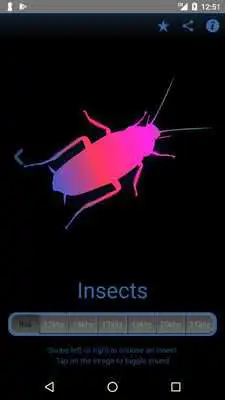 Play Dont Bug Me Mosquito