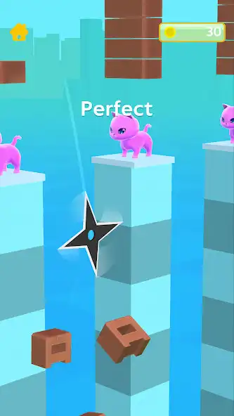 Play Dont slice the Cats  and enjoy Dont slice the Cats with UptoPlay