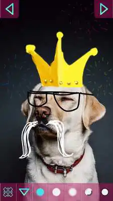 Play Doodle on Pictures