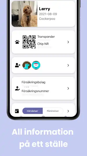 Play Doogy as an online game online Doogy with UptoPlay Play Doogy as an online game Doogy with UptoPlay