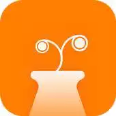 Free play online doonne light APK Free play online doonne light APK
