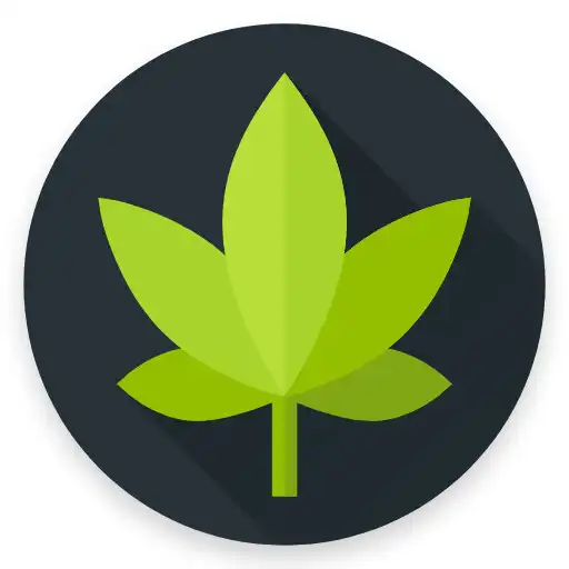 Play Dope Wars APK Play Dope Wars APK