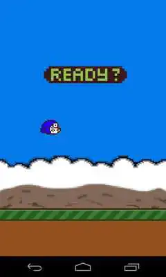 Play Dora Bird