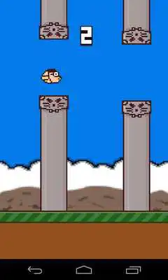 Play Dora Bird